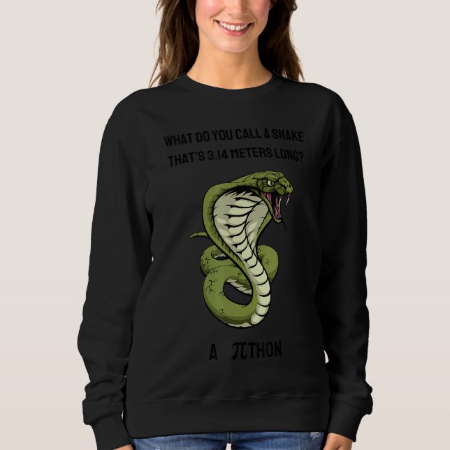 Sweatshirt Comment Appelez-Vous Un Serpent Thatu2019s 3 14 Mè (Devant)