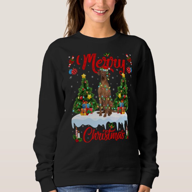 Sweatshirt Coonhound Dog Lights Xmas Tree Père Noël Coonhound (Devant)