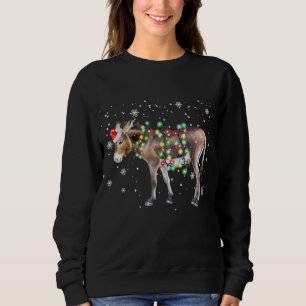 Sweatshirt Couleur des lumières de Noël de l'âne    Cadeau Pè