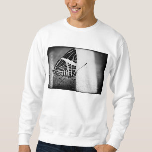 Sweatshirt croisement papillon