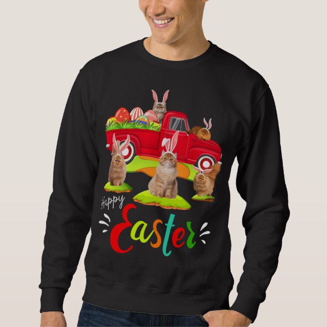 Sweatshirt Cute Bunny Chats Perse équitation Camion Rouge Hap (Devant)