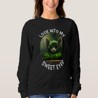 Sweatshirt cute cat at window look into my sweet eyes