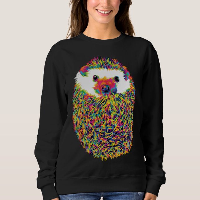 Sweatshirt Cute Rainbow Hedgehog (Devant)
