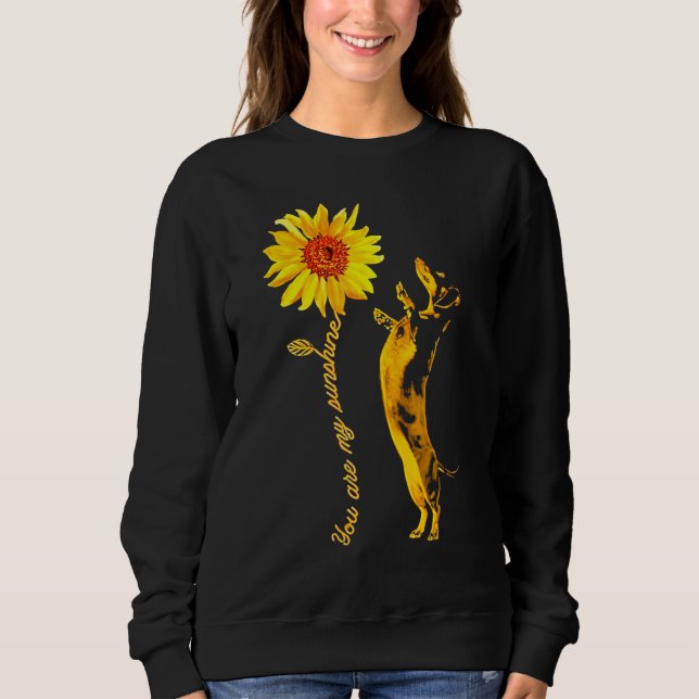 Sweatshirt Dachshund Sunshine Funny For Man Woman (Devant)
