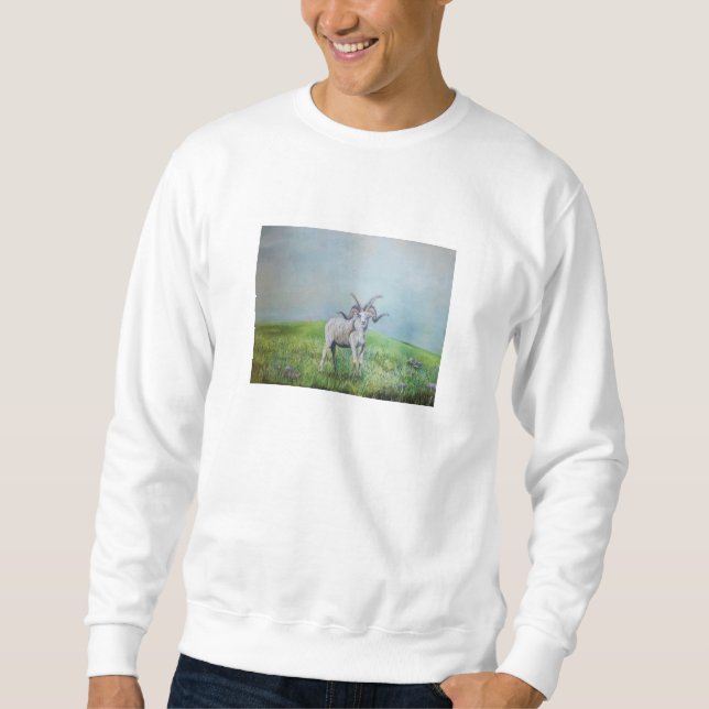sweatshirt de fusée (Devant)