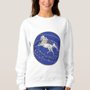 Sweatshirt de Starry Mare