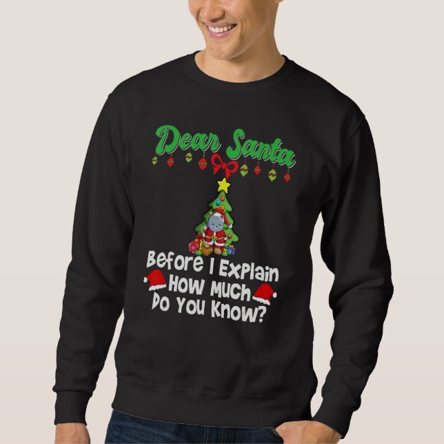 Sweatshirt Dear Santa Before I Explain How Much Do You Know_1 (Devant)