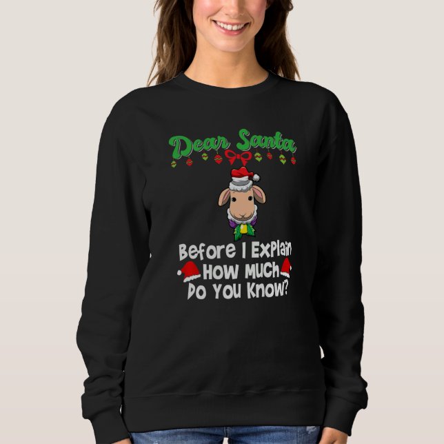Sweatshirt Dear Santa Before I Explain How Much Do You Know P (Devant)