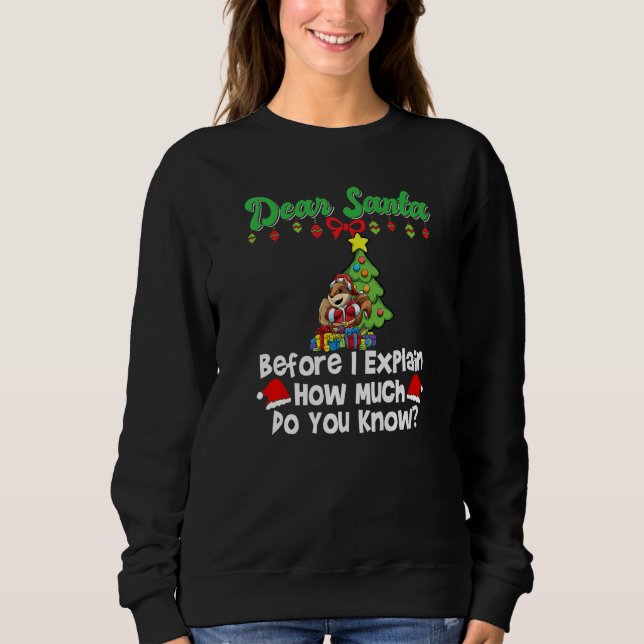 Sweatshirt Dear Santa Before I Explain How Much Do You Know P (Devant)