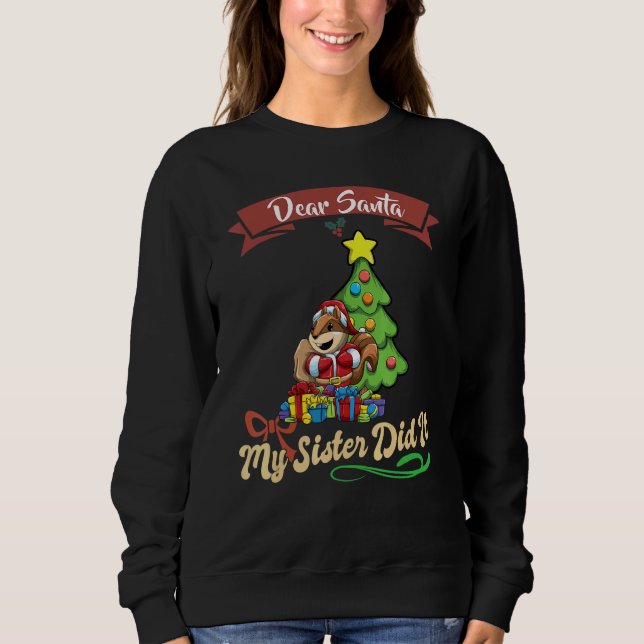 Sweatshirt Dear Santa My Sister Did It Siblings Christmas_23 (Devant)