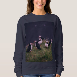 Sweatshirt des Puffins de l'Atlantique
