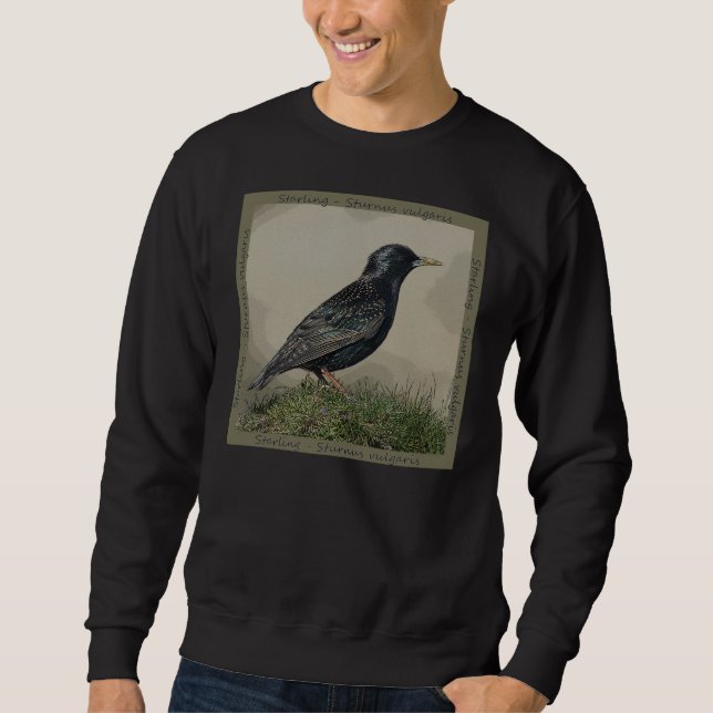 Sweatshirt d'étourneau (Devant)