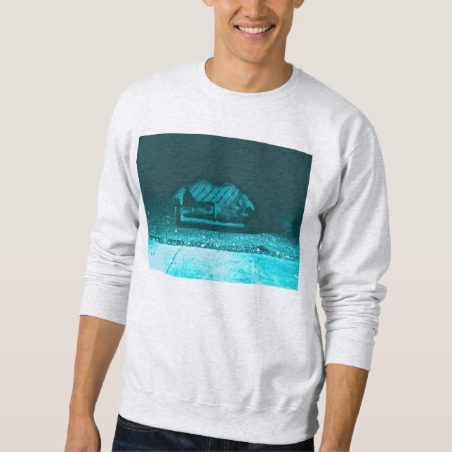 Sweatshirt divan confortable (Devant)