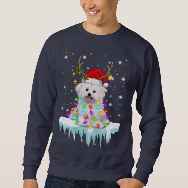 Sweatshirt Dog Lover |Maltese Christmas Fairy Light en hiver (Devant)