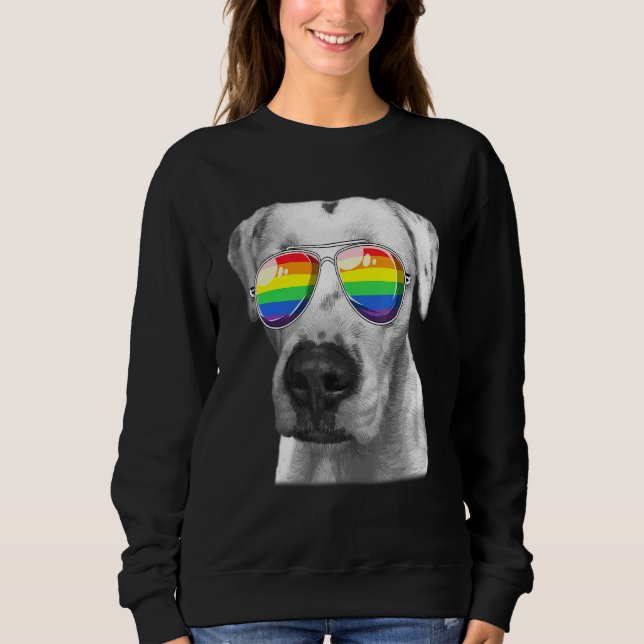 Sweatshirt Dogo Argentino Chien Gay pride Drapeau Lunettes de (Devant)