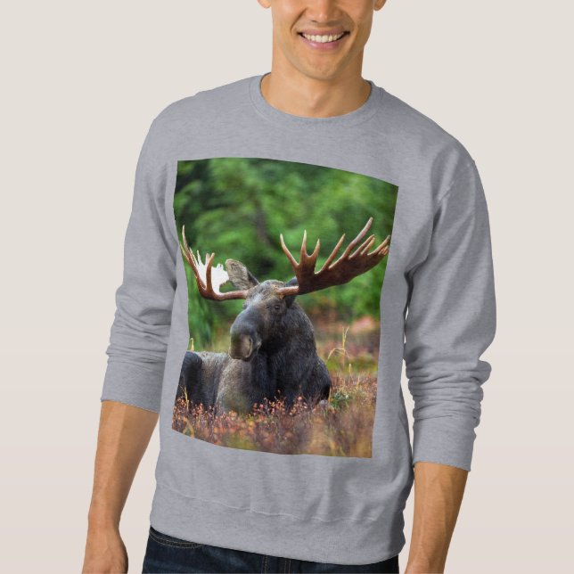Sweatshirt d'orignal (Devant)