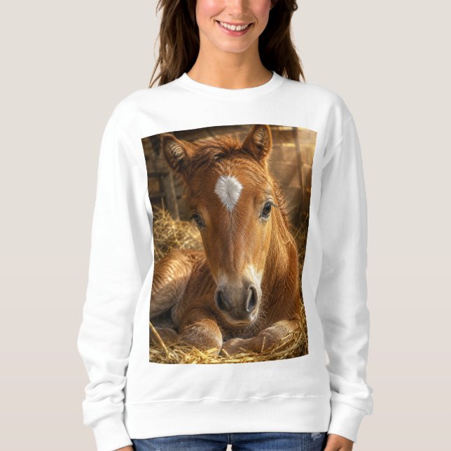 Sweatshirt Douce Somnolence Poulain (Devant)