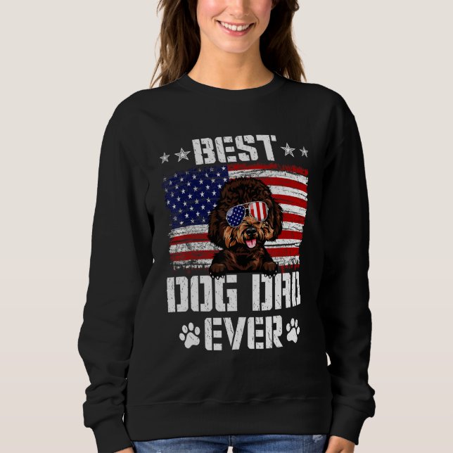 Sweatshirt Drapeau américain 4° de (Devant)