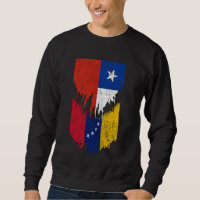 Drapeaux chiliens vénézuéliens arrachés Chili Vene