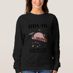 Sweatshirt Dungeon Crawler Dragon Master Dm Gaming Cat Druid