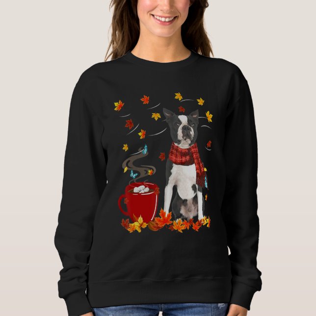 Sweatshirt Écharpe pour chien Boston Terrier automne chocolat (Devant)