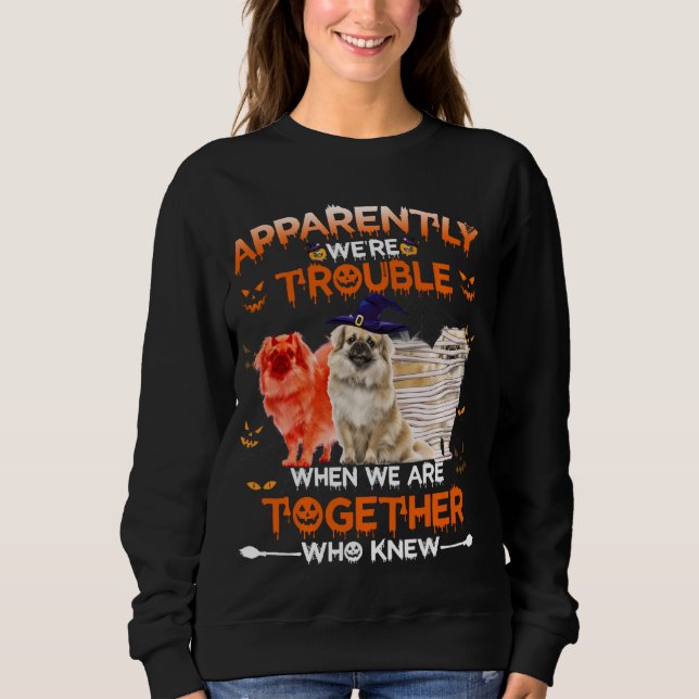 Sweatshirt Espagnol Tibétain Apparemment Nous Sommes Difficil (Devant)