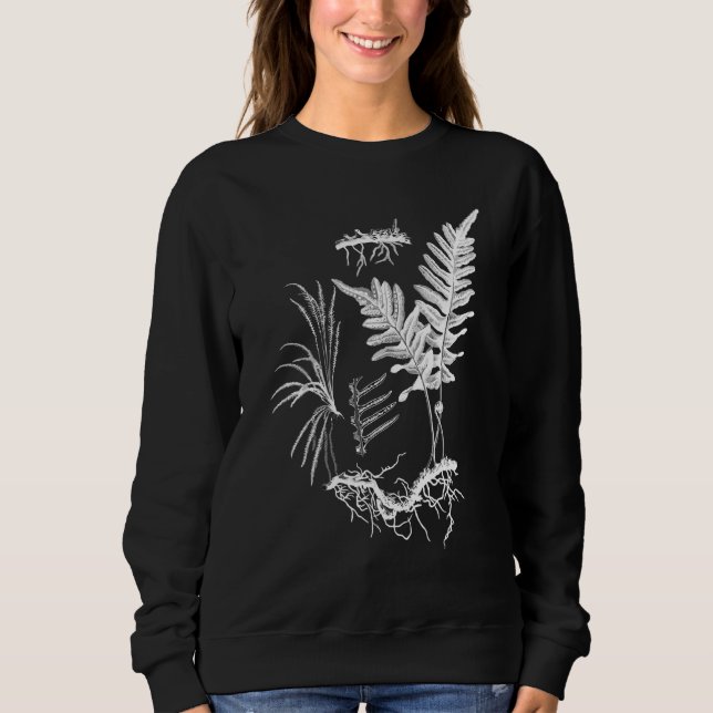 Sweatshirt Fern Plante Ferns Botaniques Illustration Flowerle (Devant)