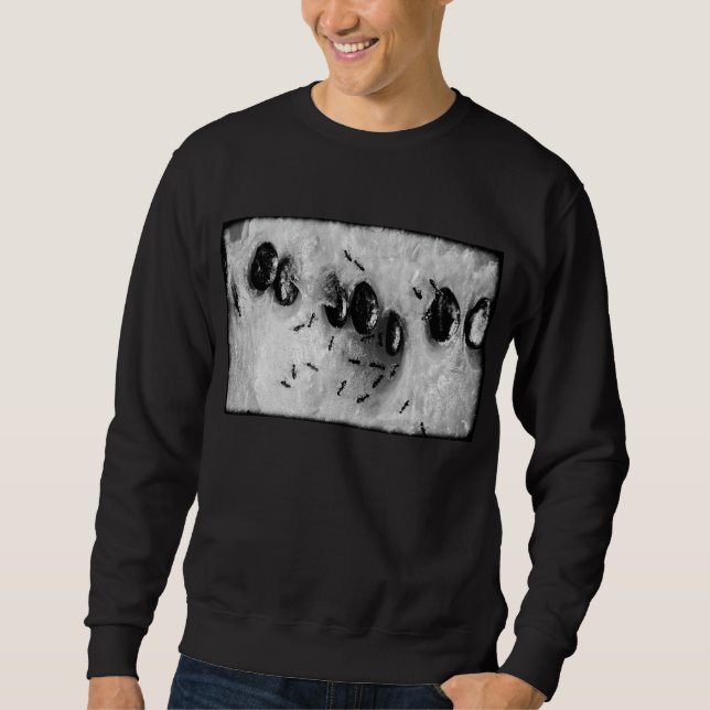 Sweatshirt fourmis faisant du surf (Devant)