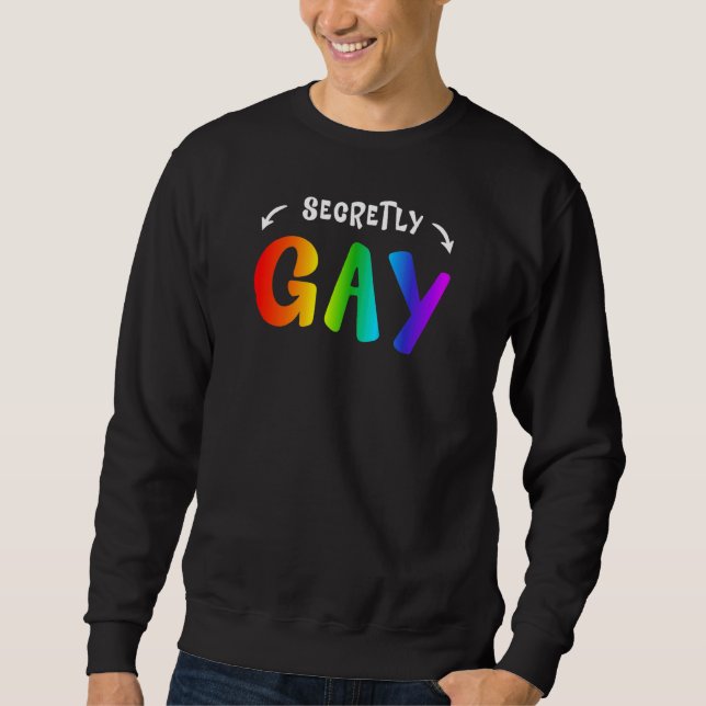 Sweatshirt Gay Lgbt Pride en secret Rainbow Queer 1 (Devant)