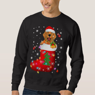 Sweatshirt Golden Retriever dans Sock Noël