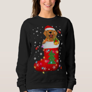 Sweatshirt Golden Retriever dans Sock Noël