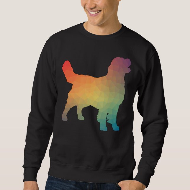 Sweatshirt Golden Retriever Rainbow Geometry (Devant)