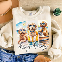 Goldendoodles en Lunettes de soleil Chien Jours d'