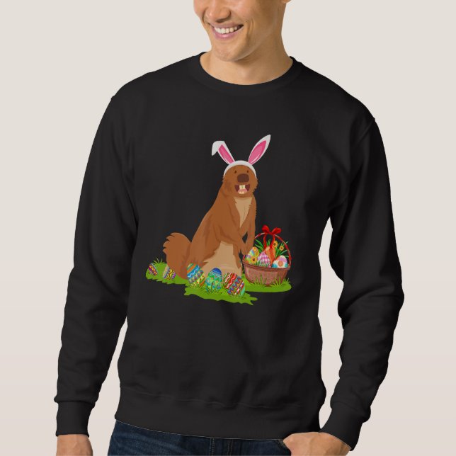 Sweatshirt Gopher Oeuf de Pâques Chasse Bunny Gopher Pâques S (Devant)