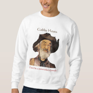 Sweatshirt Hayes bavard