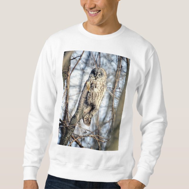 Sweatshirt Hibou de grand gris - observateur Brown crémeux (Devant)