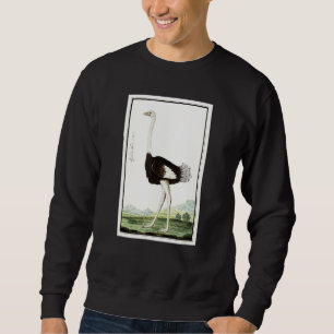 Sweatshirt Illustration d'Ostrich vintage Ostrich L