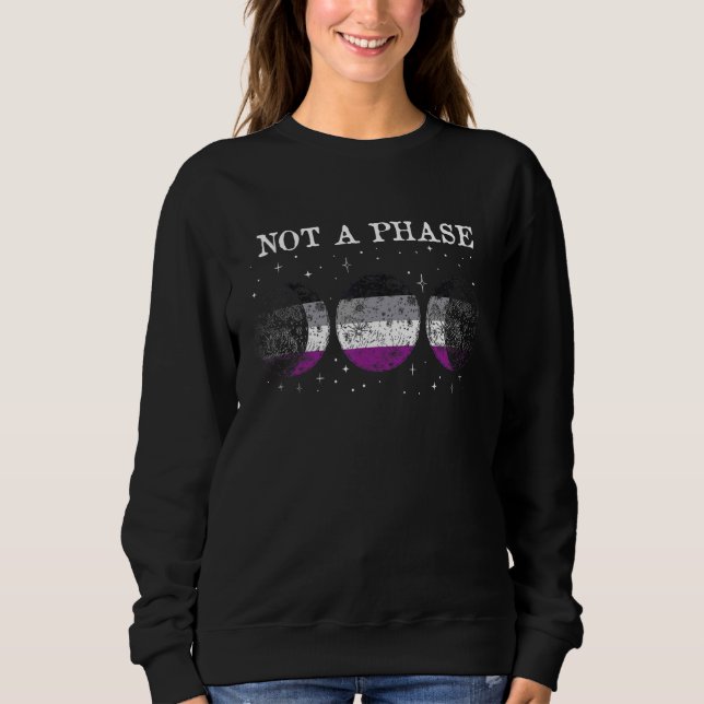 Sweatshirt Indicateur de fierté sexuelle non pas une phase (Devant)