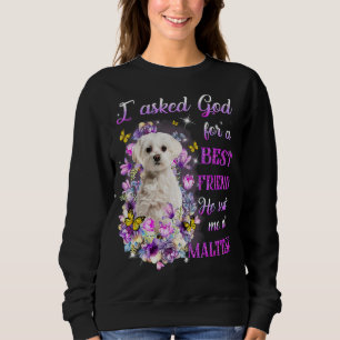 Sweatshirt J'Ai Demandé À Dieu Pour Un Meilleur Ami Il M'A En
