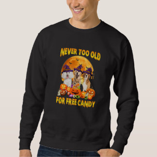 Sweatshirt Jamais trop vieux pour des bonbons gratuits pour c