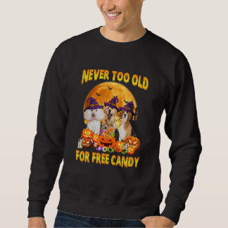 Sweatshirt Jamais trop vieux pour des bonbons gratuits pour c