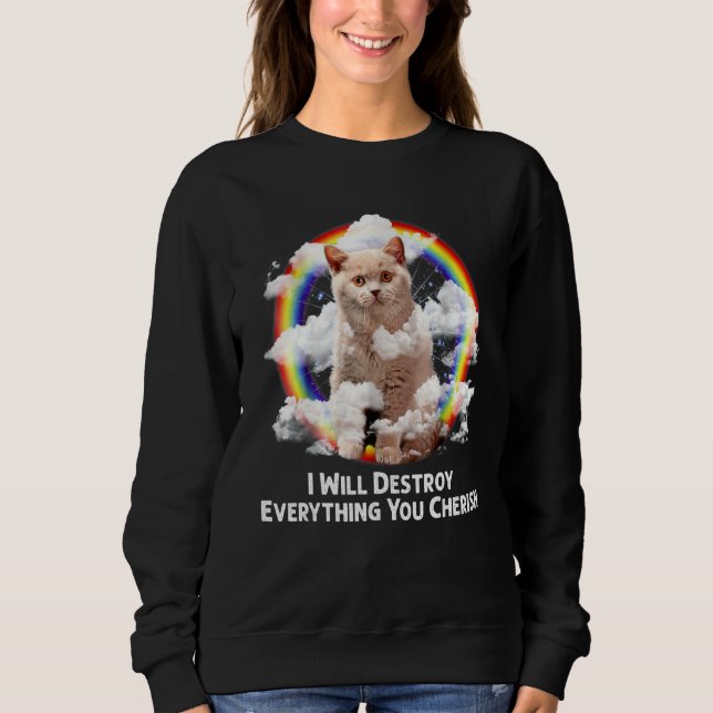 Sweatshirt Je Détruirai Tout Ce Que Vous Cherchez Chat Arc-En (Devant)