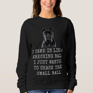 Sweatshirt Je suis arrivé comme un déchiqueteur Ball Drôle Ch
