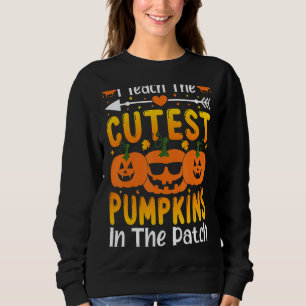 Sweatshirt J'Enseigne Les Citrouilles Les Plus Couteux Dans L