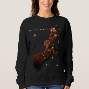 Sweatshirt Joli Père Noël Écureuil lumières de Noël Funky Sq 