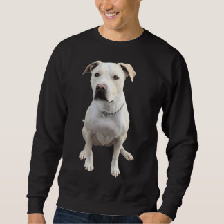 Sweatshirt Laboratoire de Pitbull