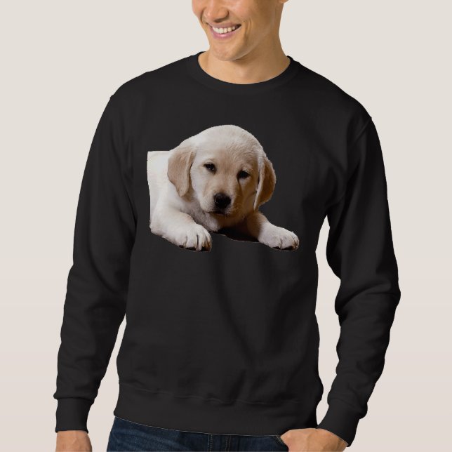 Sweatshirt Labrador Nap Time (Devant)