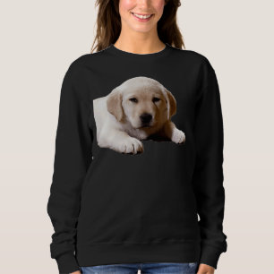 Sweatshirt Labrador Nap Time