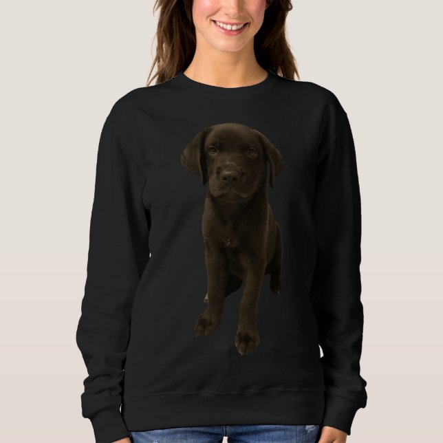 Sweatshirt Labrador Retriever 58 (Devant)
