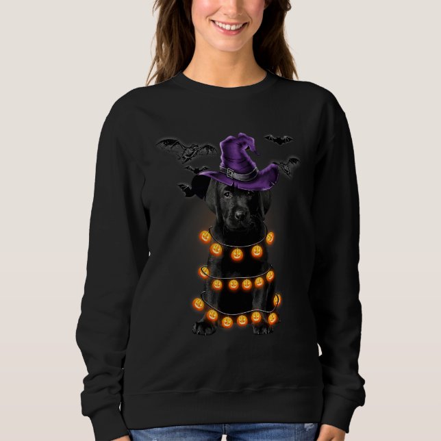 Sweatshirt Labrador Retriever Chien Lumière Citrouille Hallow (Devant)